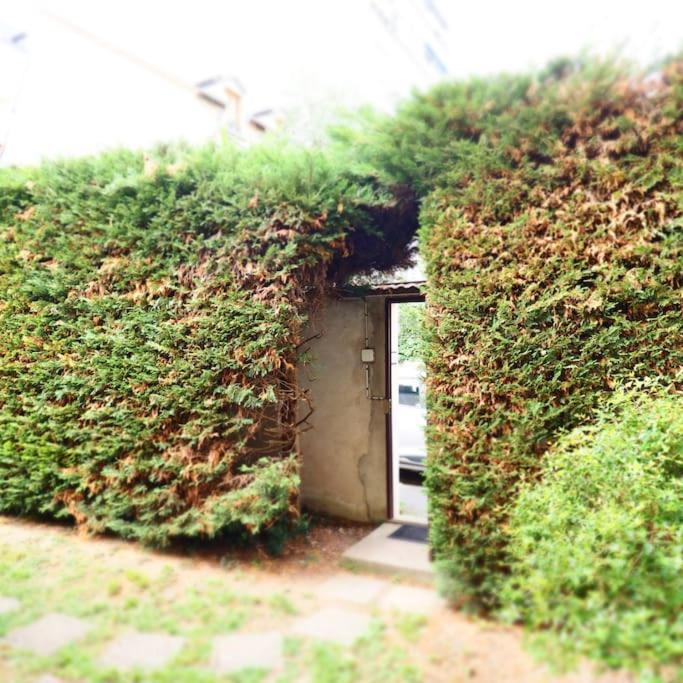Maison Faure - Centre Ville - Jardin - Garage Vichy Exterior foto